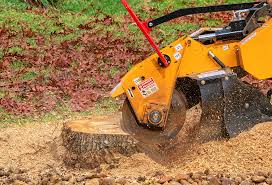 Tree and Shrub Care in Bridge City, TX