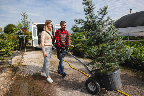 Best Lawn Pest Prevention  in Bridge City, TX